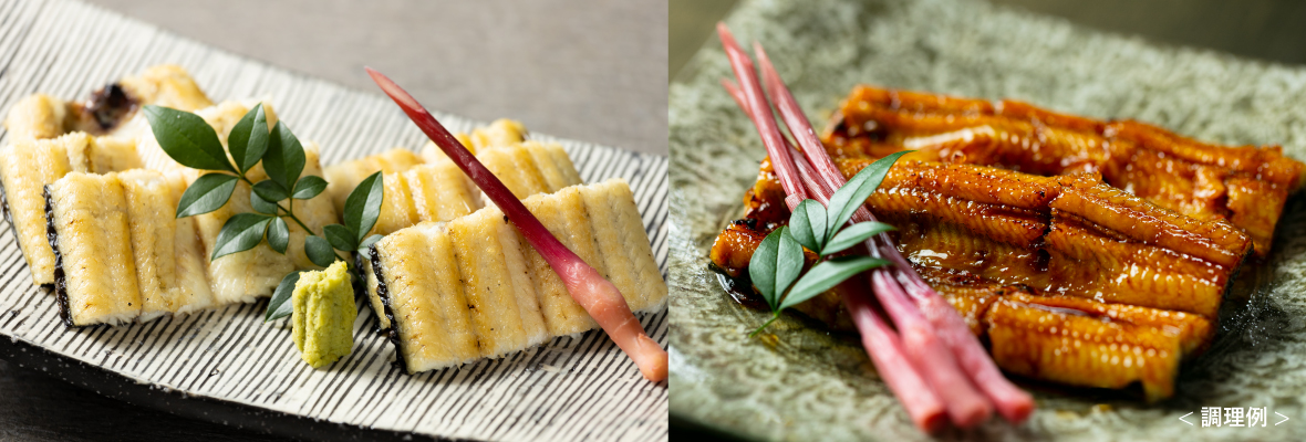 うなぎギフト 城山麦鰻 &lt;白焼き&gt;